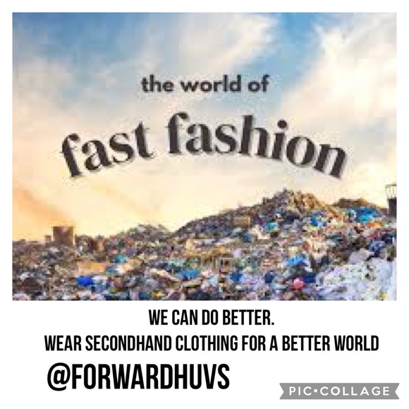 Meet your Posher, Nicky - Picture 3 of 8